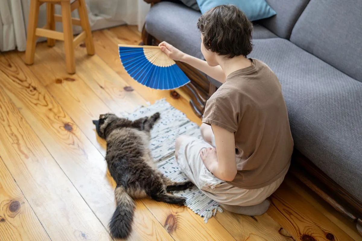 34度の猛暑、猫をクールに保つ方法を獣医が伝授「冷却マットが効果的」