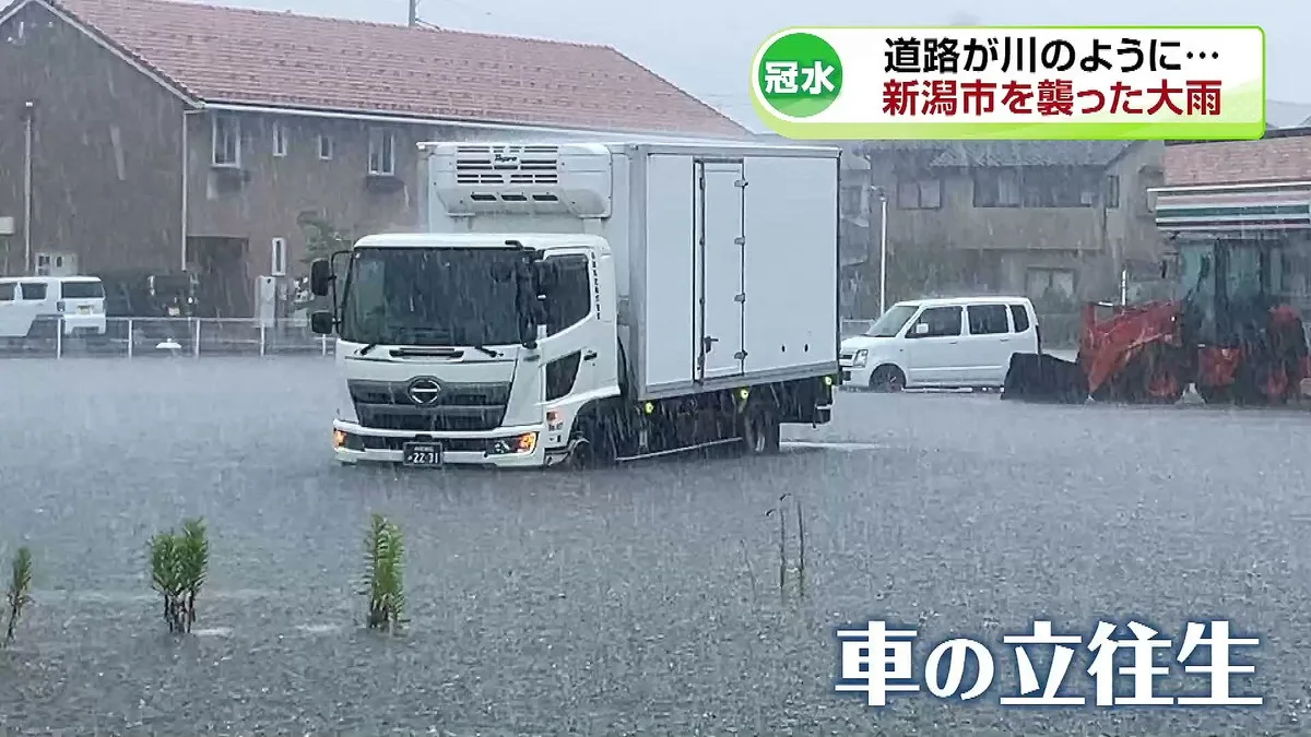 新潟市中心部が冠水、道路は川と化す…歩行者がおんぶで渡る姿も
