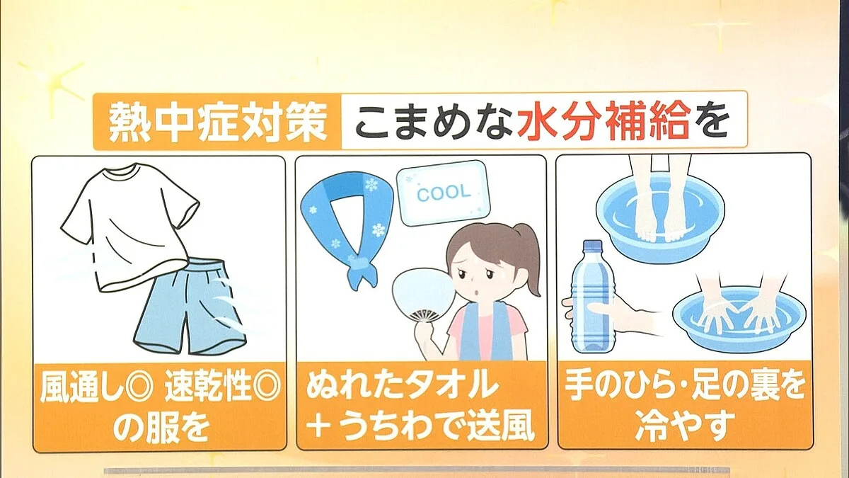熊本で週明け40度予想…避難生活を乗り切る「水が足りない時の体温の下げ方」