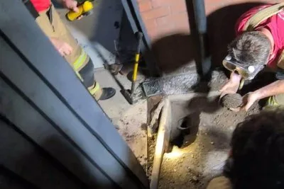 コンクリート砕いて救出…イギリス消防隊が排水溝に落ちたハリネズミを救う大奮闘